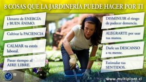 8 Cosas que la jardinería puede hacer por ti