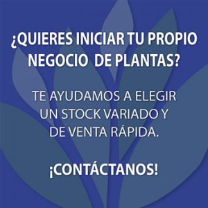 Mayoristas Vivero Multiplant