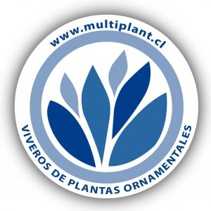 Multiplant logo