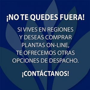 Multiplant Vivero Online con despacho