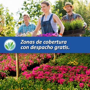 Multiplant zonas de cobertura con despacho gratis