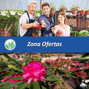 Vivero Multiplant | Zona Ofertas