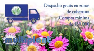 Vivero Multiplant Venta online despacho a domicilio
