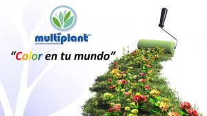 Vivero multiplant contacto venta online