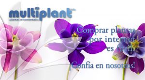 Viveros Multiplant Ltda. Venta online