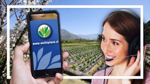 Multiplant Vivero Online con Delivery