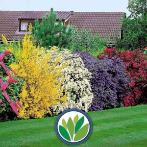 Arbustos Viveros Multiplant