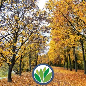 Caduco Viveros Multiplant