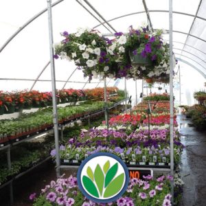 Ofertas Viveros Multiplant