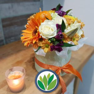 Otros Arreglos de Plantas Viveros Multiplant