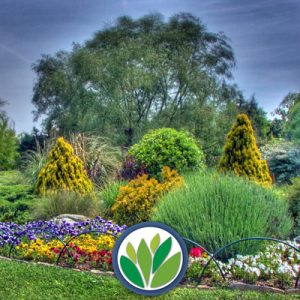 Plantas Viveros Multiplant