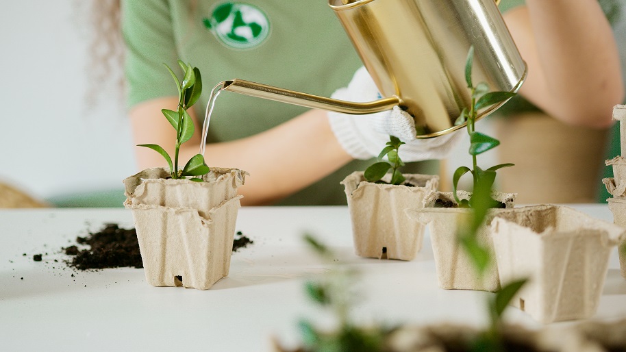 Beneficios de la jardinería