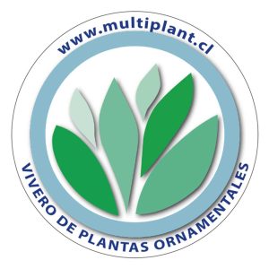 Vivero Multiplant - Productor de Plantas Ornamentales en Chile