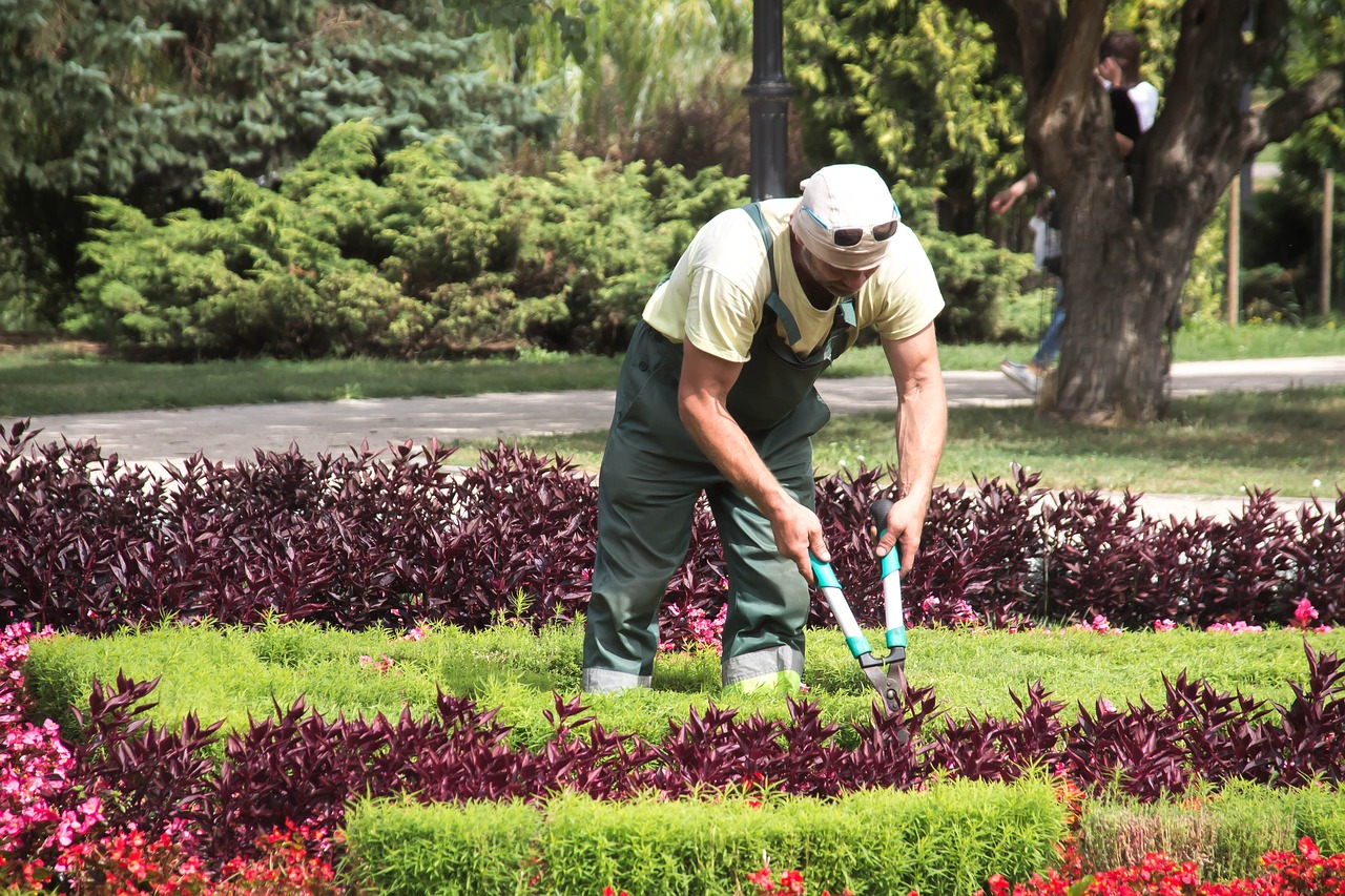 En viveros Multiplant te damos estos consejos